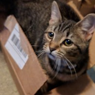 IMG_20171030_204000_011